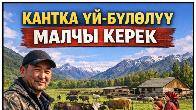Кантка үй-бүлөлүү малчы керек