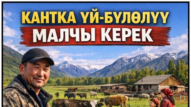 Кантка үй-бүлөлүү малчы керек Bishkek - изображение 1