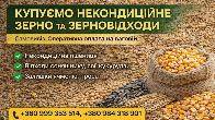 Купуємо некондицію та зерновідходи на постійній основі