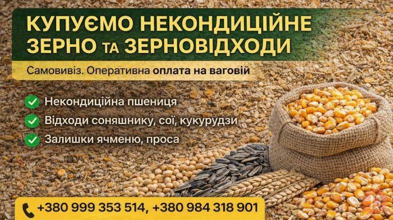 Купуємо некондицію та зерновідходи на постійній основі Полтава - изображение 1