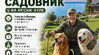 Требуется сторож-садовник. На Иссык-Куле