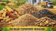 Купуємо зерновідходи, некондицію зернових та олійних