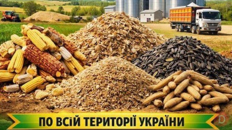 Купуємо зерновідходи, некондицію зернових та олійних Днепропетровск - изображение 1