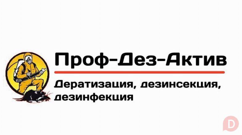 Дератизация, дезинсекция, дезинфекция в Луганске Луганск - изображение 1