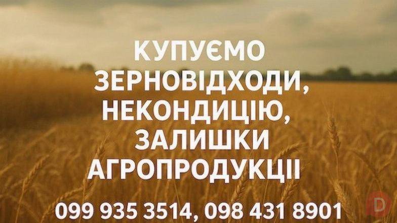 Закуповуємо некондиційне зерно та побічну агропродукцію Полтава - изображение 1