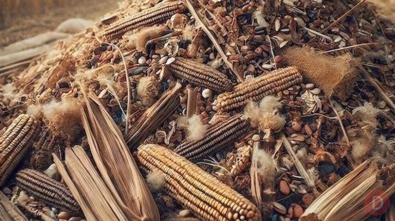 Закуповуємо некондиційне зерно, зерновідходи та побічну агропродукцію Днепропетровск - изображение 1
