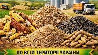 Куплю некондицію, зерновідходи та побічну агропродукцію