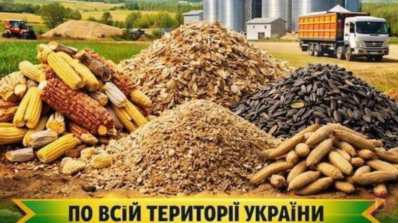 Куплю некондицію, зерновідходи та побічну агропродукцію Полтава - изображение 1