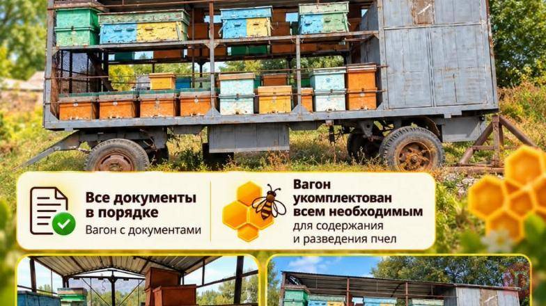 Продаю пасеку Бишкек - изображение 1