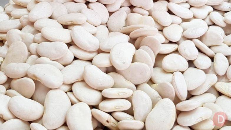Гуртові поставки квасолі для українського ринку та експорту Полтава - изображение 1