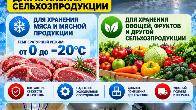 Сдаются в аренду холодильные камеры для хранения сельхозпродукции