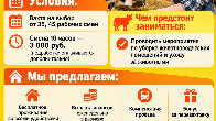 Скотник, доярка и дояр на ферму вахтой с проживанием