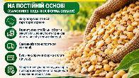 Приймаємо половинки сої для виробничих потреб