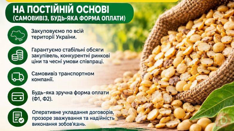 Приймаємо половинки сої для виробничих потреб Черкассы - изображение 1