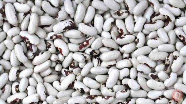 Купити квасолю оптом від виробника — ТОВ «Бінс Натурпродукт» Житомир - изображение 1